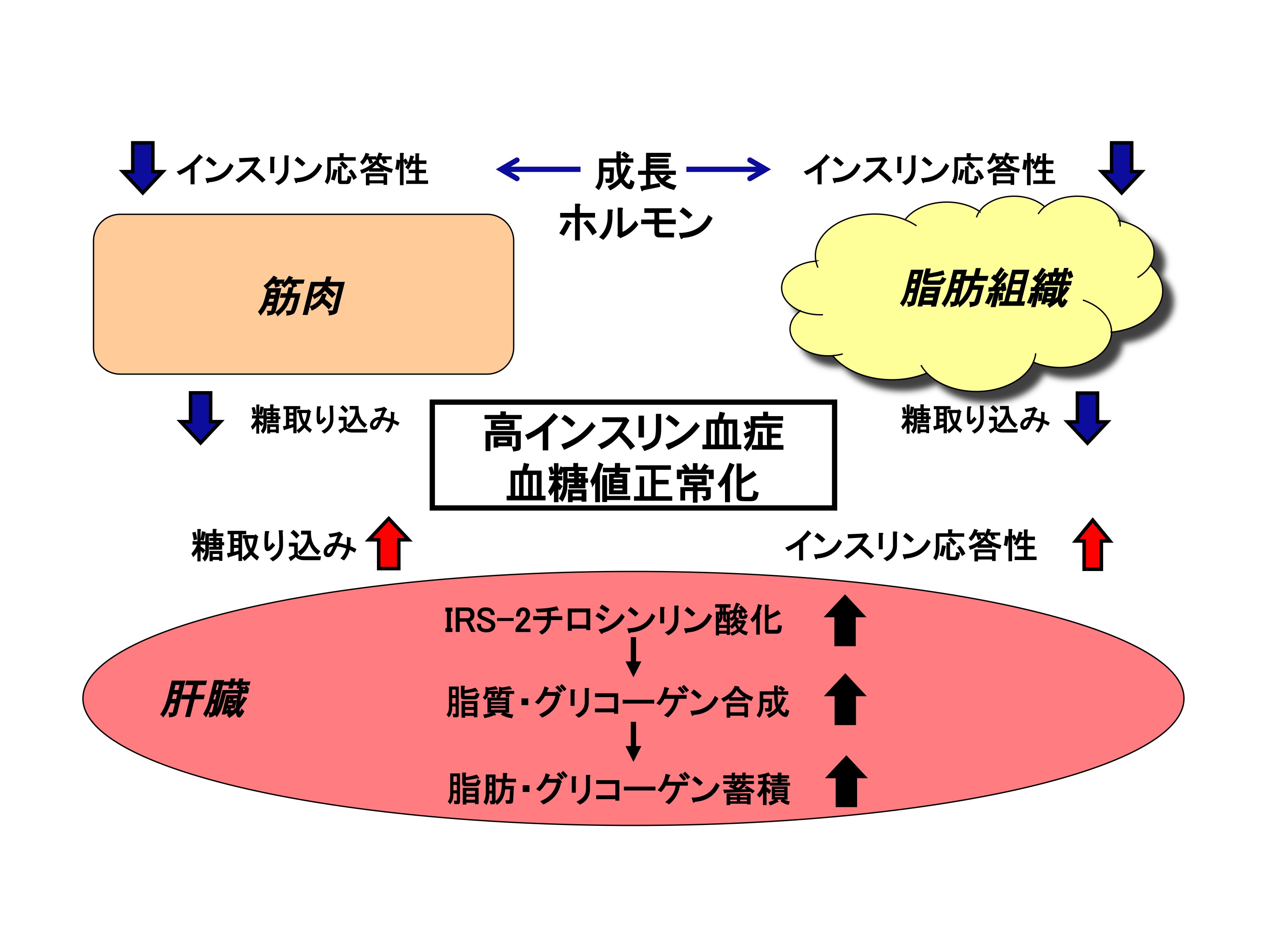 プロジェクト４（１）